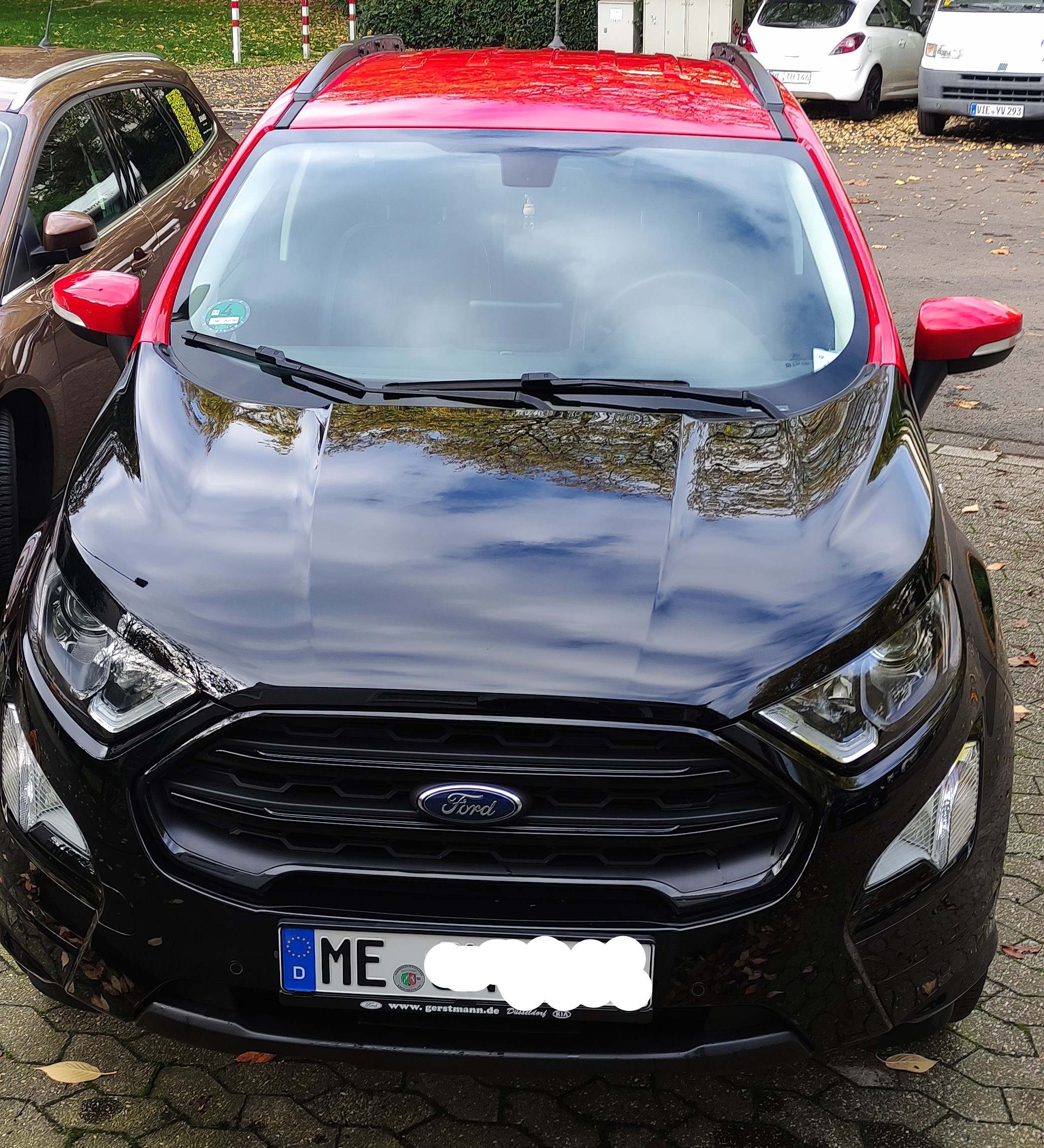 2019 EcoSport