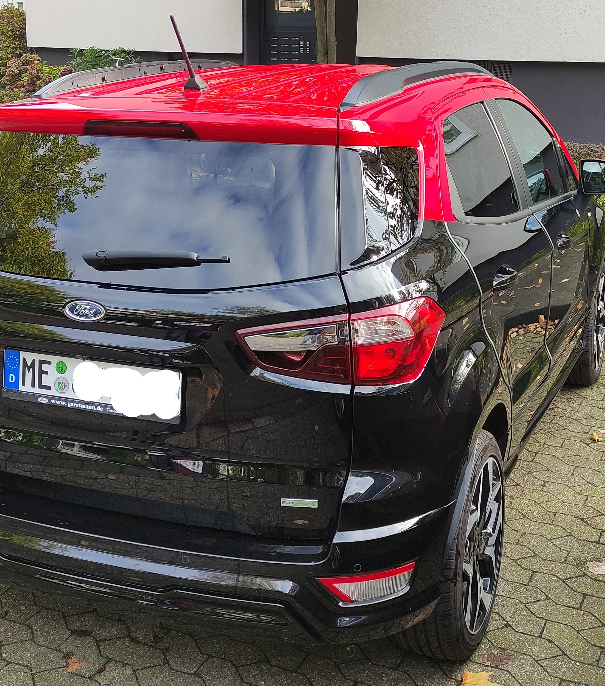 2019 EcoSport