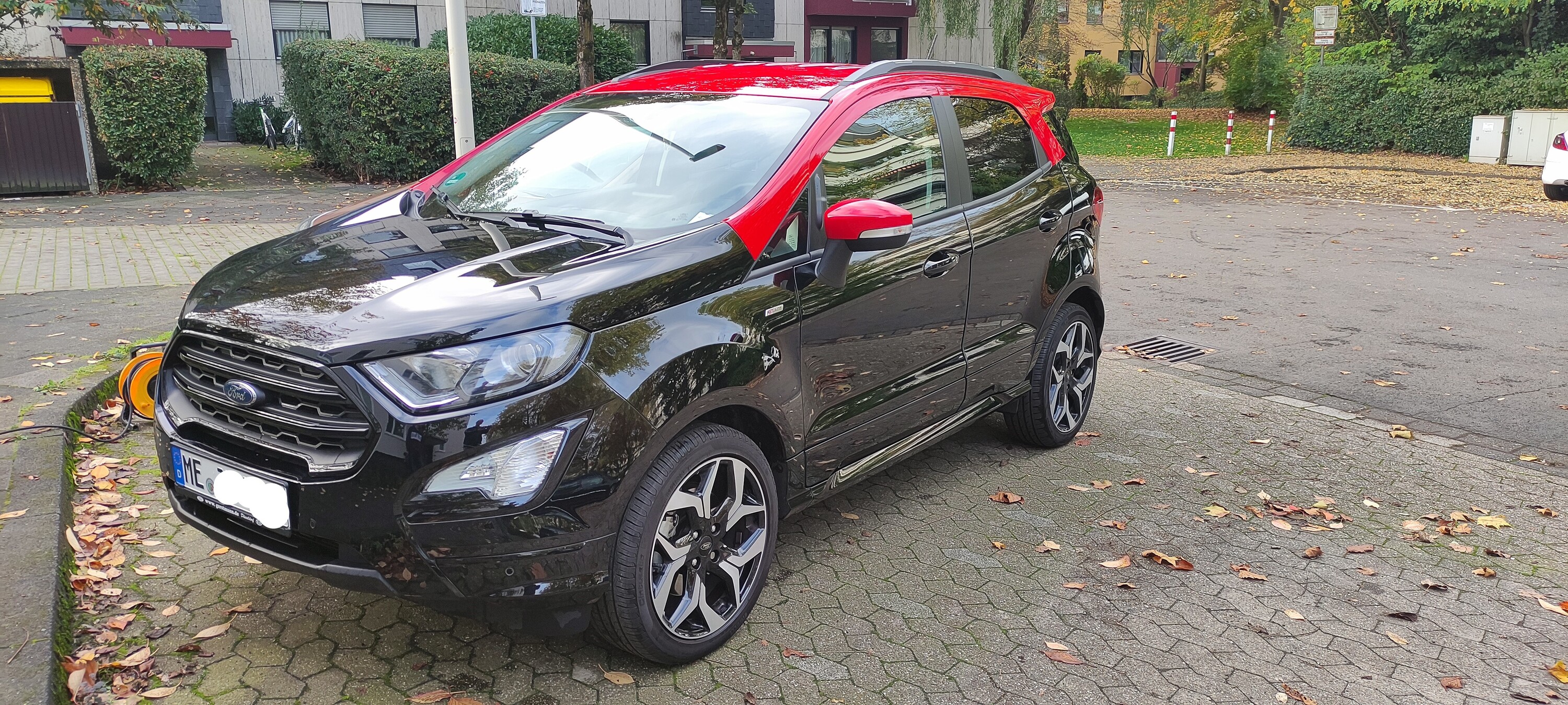 2019 EcoSport