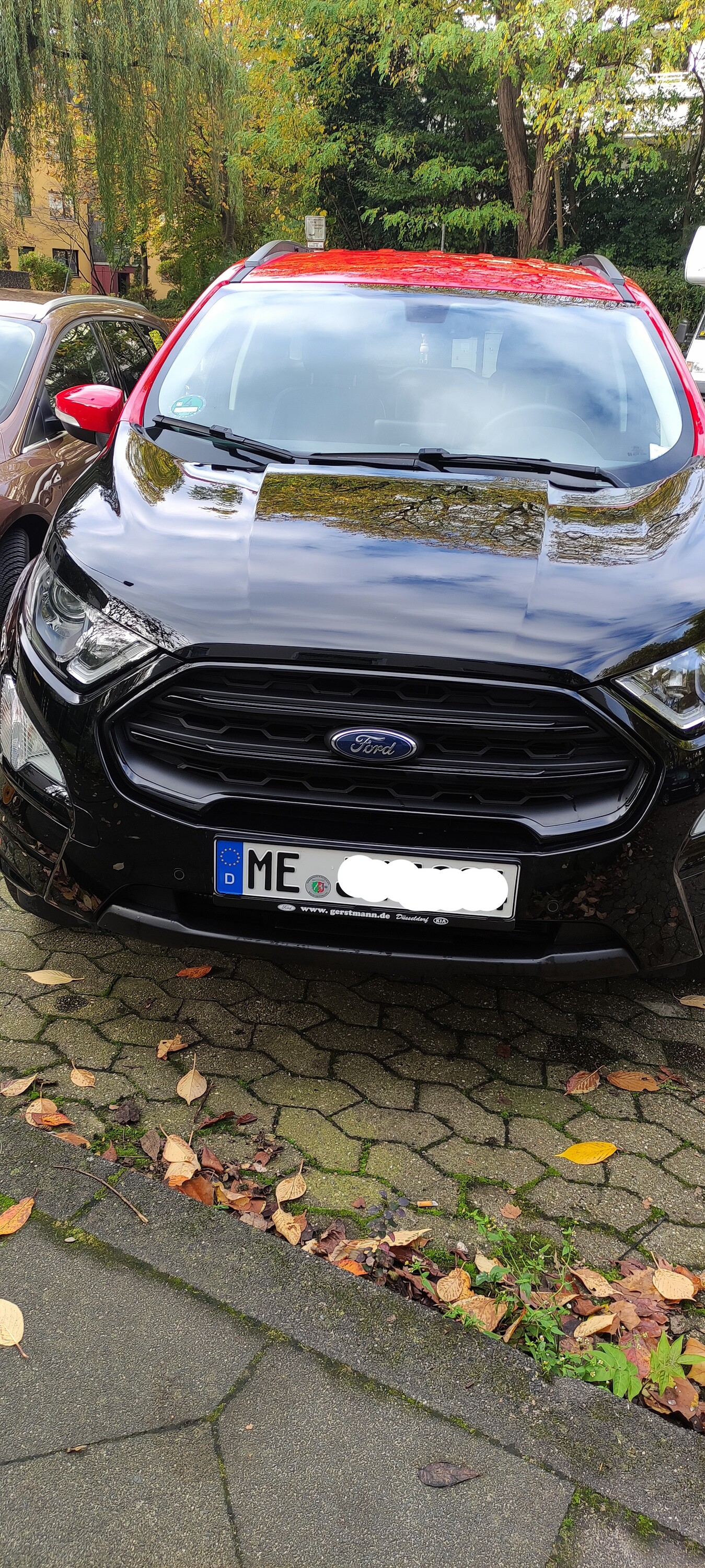 2019 EcoSport