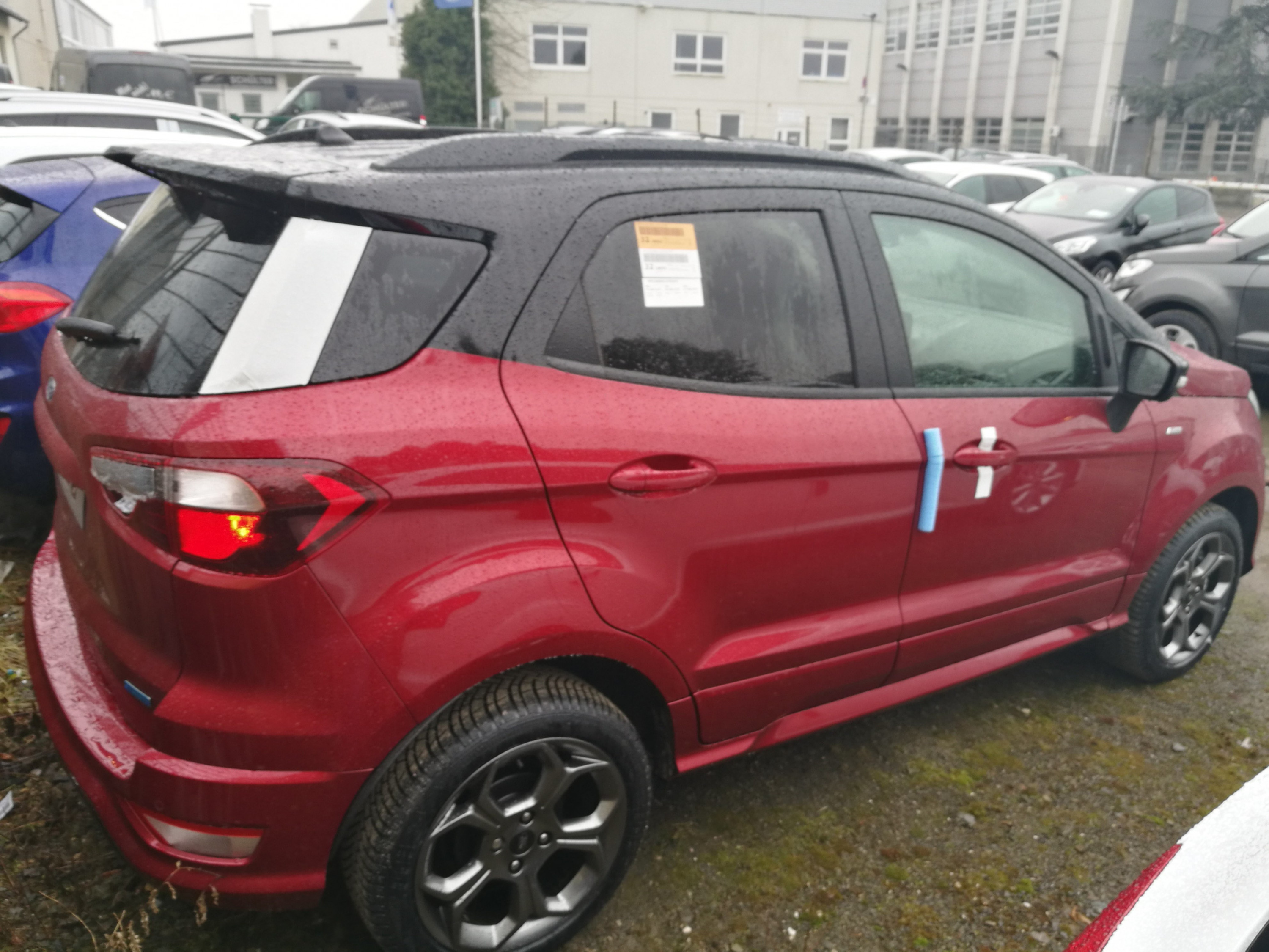 ChrisO Ecosport2018 St-Line